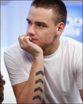 Quel membre des One Direction a un tatouage avec des flèches sur le bras ?