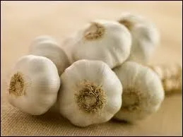 L'oignon fait fuir les vampires.