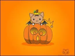 Le soir d'Halloween, les enfants font du porte à porte pour récolter des bonbons.