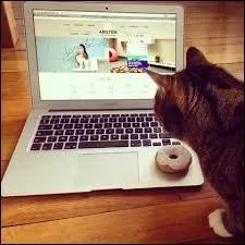 Lequel de ces sites internet est spécialisé dans le comparatif d'hôtels ?