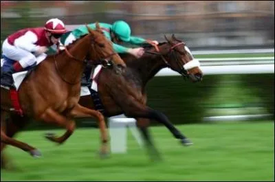 Quelle est l'allure la plus rapide du cheval ?