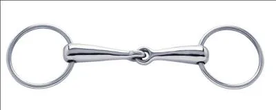 Comment s'appelle la partie du filet qui passe dans la bouche du cheval ?