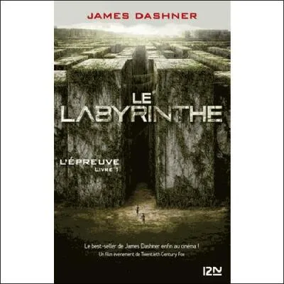 Combien y a-t-il de livres "Le Labyrinthe" ?