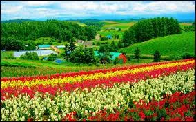 Qui a créé le programme ?