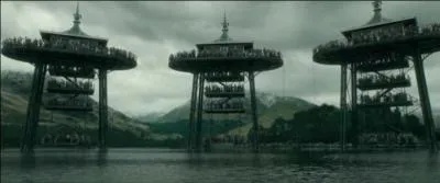 Qui Harry sauve-t-il en plus de Ron dans la deuxième tâche du Tournoi des Trois Sorciers, dans l'épisode 4 ?