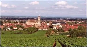 Ville viticole sur la Route des Grands Crus de Bourgogne, Marsannay-la-Côte se situe dans le département ...