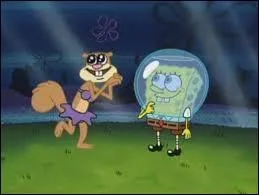 Quel sport Bob et Sandy pratiquent-ils ?