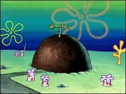 Qui habite dans cette maison ?