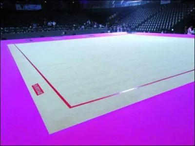 Comment se nomme la surface sur laquelle les gymnastes s'entraînent ?