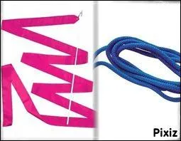 Complétez : la corde et le ruban sont appelés les engins...