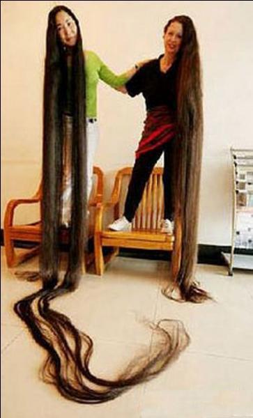 Quelle est la longueur des plus longs cheveux du monde ?
