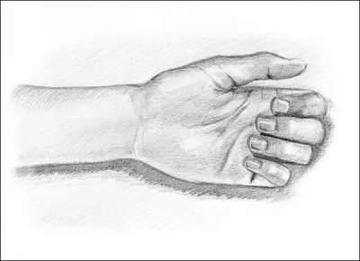 Quel os n'est pas un os de la main ?