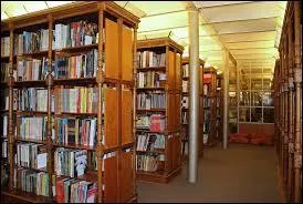 Vous pouvez très bien le faire à compte d'auteur !