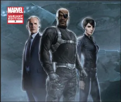 Comment s'appelle l'actrice qui interprète Maria Hill dans "Avengers" ?