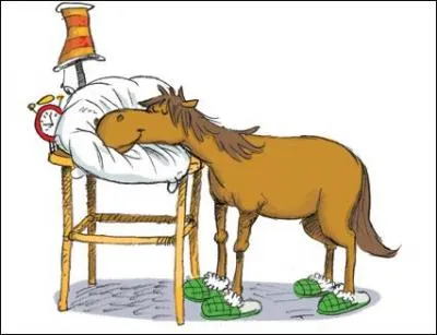 Dans quelle position le cheval dort-il ?