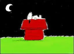 Comment s'appelle le héros de bande dessinée qui aime dormir sur le toit de sa niche ?