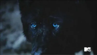 Dans le dernier épisode de la saison, qui fait une transformation complète en loup ?