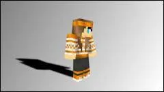 A qui appartient ce skin ?