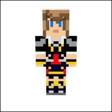 A qui appartient ce skin ?