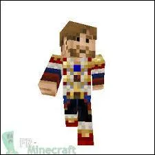 A qui appartient ce skin ?