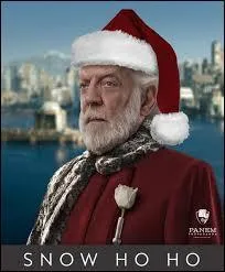 "Snow" signifie "la neige". 
Quelle est la ressemblance entre Snow et la neige ?