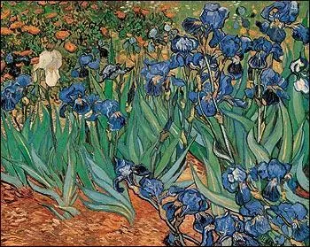 Qui a peint "L'iris blanc" ?