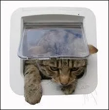 Qui a inventé la chatière ?