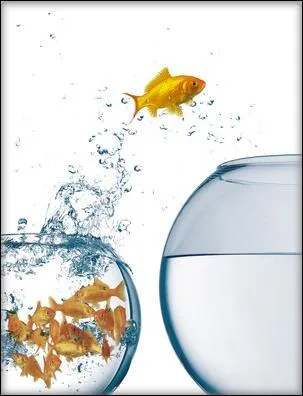 C'est une collaboration à une uvre commune.