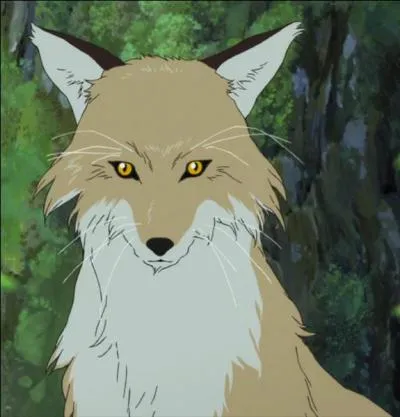 Que va faire Ame dans les montagnes ?