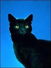 Assez parlé du Clan du Tonnerre, parlons maintenant du Clan de l'Ombre ! Qui est le frère d'Étoile Noire ?