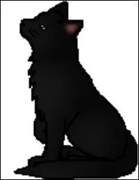 Qui est l'arrière grand-père paternel de Coeur de Roseau ?