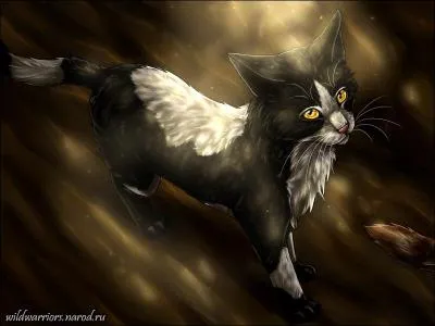 Qui est le beau-père d'Étoile Filante ?