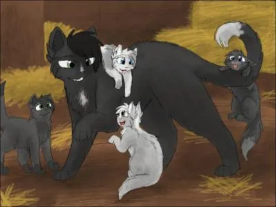 Si oui, qui sont-ils ?