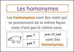 En langue de tous les jours, l'homonymie est la relation entre des homonymes, c'est-à-dire entre des mots d'une langue qui ont la même forme orale et/ou écrite mais des sens différents. L'homonymie est un cas particulier d'ambiguïté, ici de sens. Quels sont les homonymes du terme "mer" ?