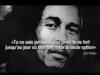 Quelle est la définition de : "Tu ne sais jamais à quel point tu es fort jusqu'au jour où être fort reste la seule option" ?