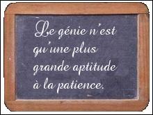 De qui est la phrase : "Le génie n'est qu'une plus grande aptitude à la patience" ?