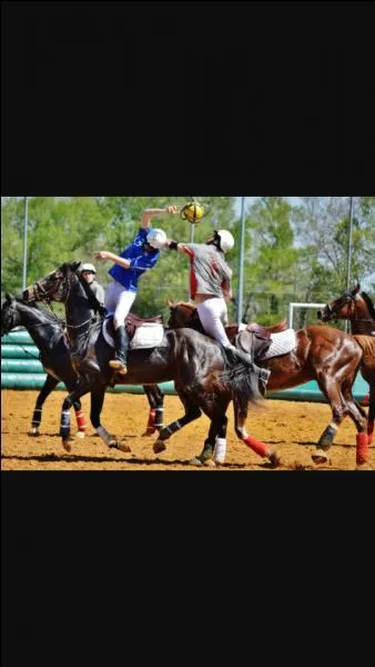 Quelle est la discipline équestre qui se joue avec un ballon à anse ?