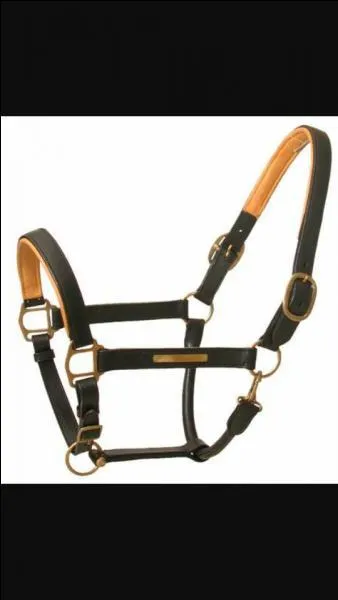 Comment s'appelle cet objet ? (voir photo)