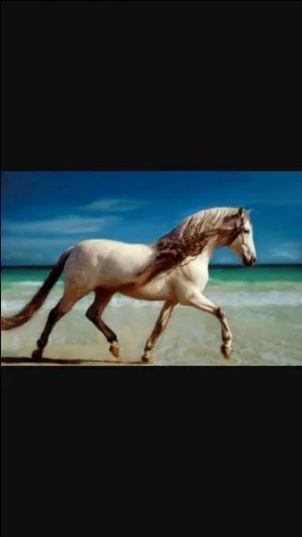 Que sont les aides artificielles ?