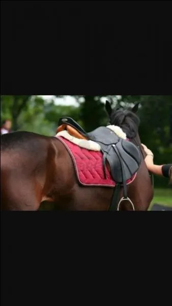 Que met-on en premier sur le dos de son cheval pour le seller ?