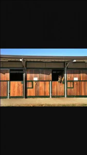 Que faut-il toujours faire quand tu rentres dans le box de ton cheval ?