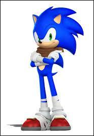 De quelle couleur est la peau de "Sonic" ?