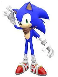 Quel animal est "Sonic" ?