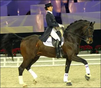 En dressage, le cheval doit avoir...