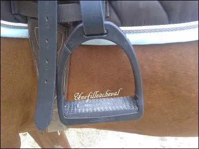 En dressage, les étriers doivent être chaussés...