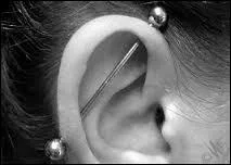 Comment se nomme celui-ci ?