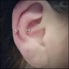 Comment se nomme celui-ci ?