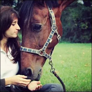 Quel cheval Wendy a-t-elle eu en DP ?