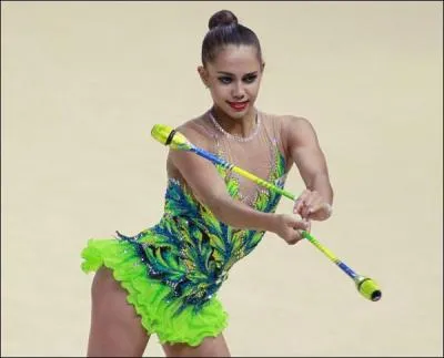 Quel est cet engin ?