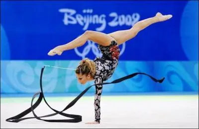 Quel est cet engin ?